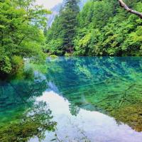 临沂知路物流有限公司